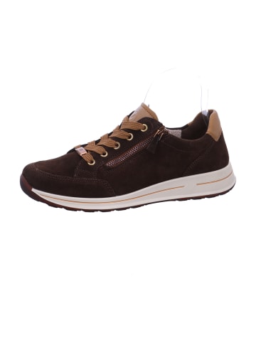 Ara Shoes Schnürer Osaka 2.0 in Braun