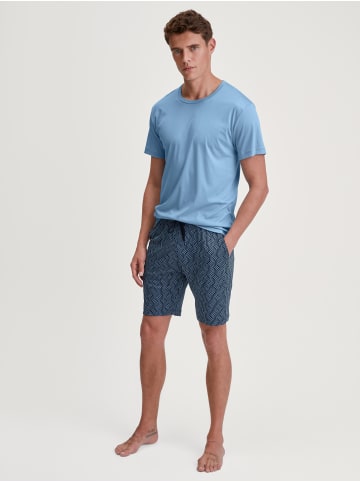 Calida Bermudas in glacier lake