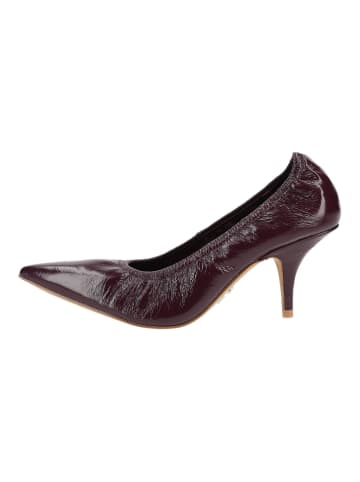 Steve Madden Pumps FARIDA in Braun