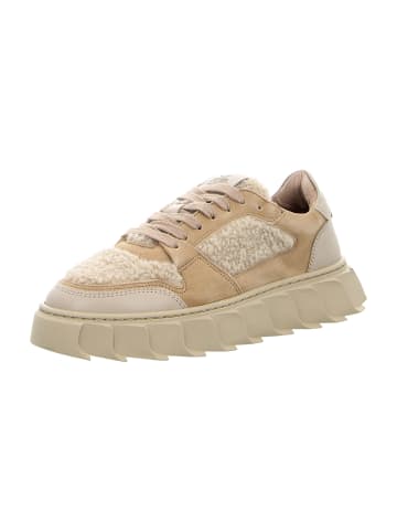 Apple of Eden Sneaker Low in Beige