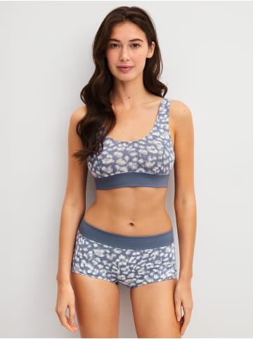Calida Panty in folkstone grey
