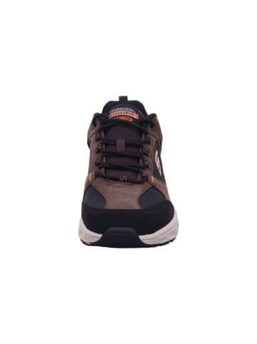 Skechers Herrenschnürschuhe halb modisch ( adidas etc ) OAK CANYON - in  Braun