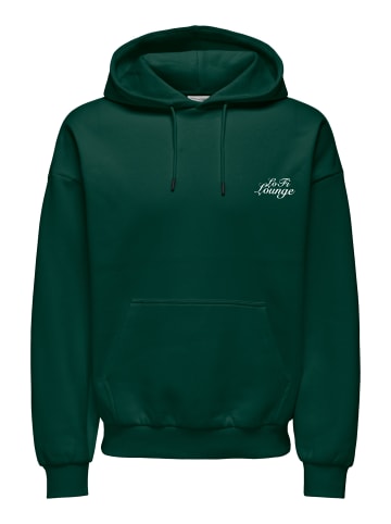 Only&Sons Hoodie 'CERES CHILL' in grün