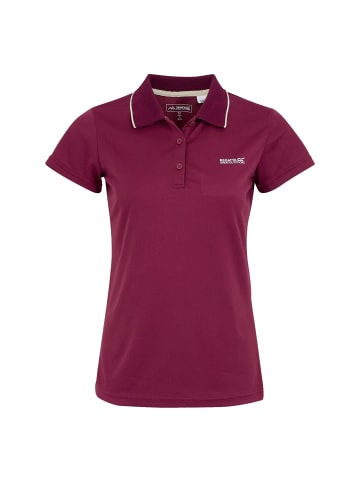 Regatta Poloshirt in Beere