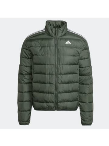 adidas Funktionsjacke ESS DOWN JACKET in Grün