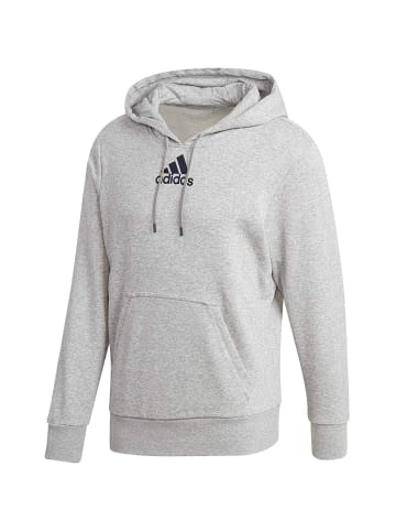 adidas Kapuzenpullover Cat Graph Hood in Grau