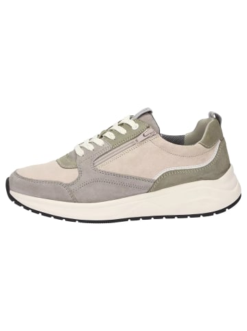 Sioux Sneaker für Herren in creme