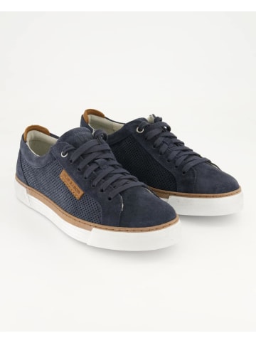 Pius Gabor Sneaker in Blau