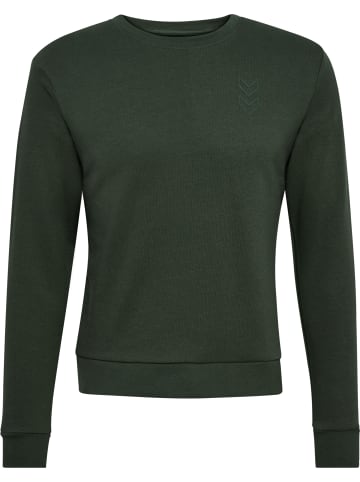 Hummel Hummel Sweatshirt Hmlactive Damen in CLIMBING IVY
