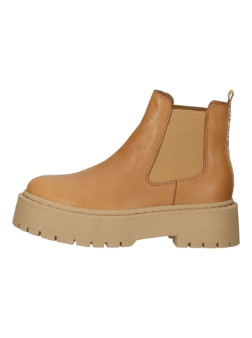 Steve Madden Stiefelette in Camel