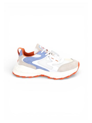 Apple of Eden Sneaker NANTES in CORNFLOWER-ORANGE