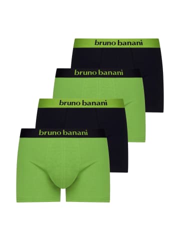 Bruno Banani Retro Short / Pant Flowing in Grün / Schwarz