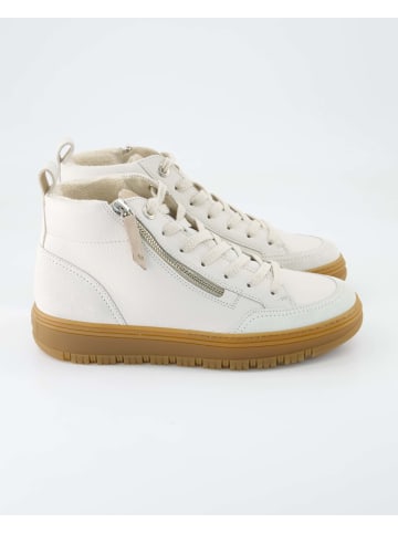 Paul Green Sneaker high in Beige