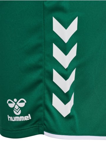 Hummel Sportshorts "Core 2.0 Shorts" in Grün