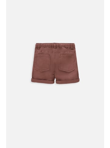 Coccodrillo Kurze Hose in braun