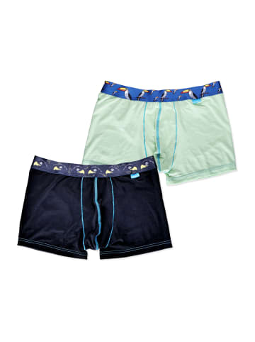 Unabux Boxer Briefs Motiv Mix in HAWK HEAD