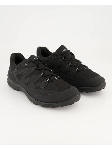 Ecco Sneaker low in Schwarz