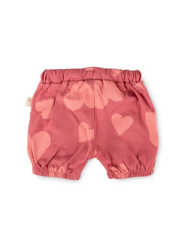 Sigikid Shorts Pink Birds in Rosa