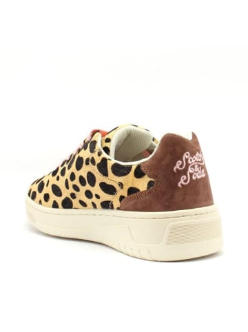 Scotch & Soda Mehrfarbig Leder Low Top Sneaker