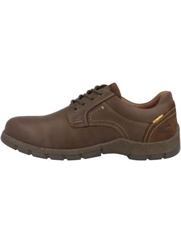 Camel Active Schnürschuhe 55AVA05 in braun