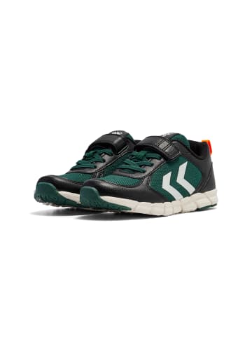Hummel Klettverschluss Sneaker Speed 2.0 Kinder in JUNE BUG