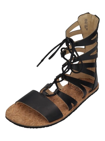 KOEL Sandalen Arina in schwarz