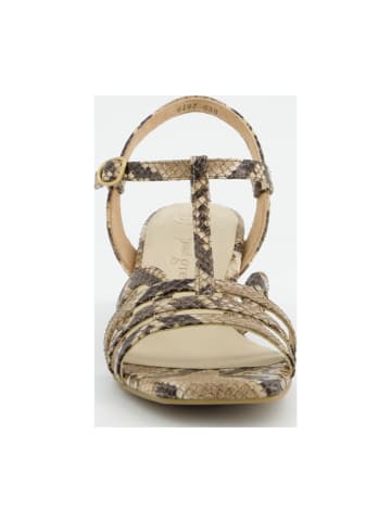Paul Green Riemchensandaletten in Animal