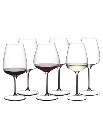 RIEDEL Glas 6er Set Weingläser-Set Grape in transparent
