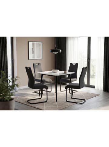 byLiving 2er-Set: Schwinger CAPRI in dunkelgrau - B 44, H 88, T 55 cm