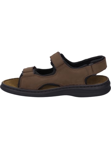 Josef Seibel Sandale Franklyn Thunder in brasil/schwarz