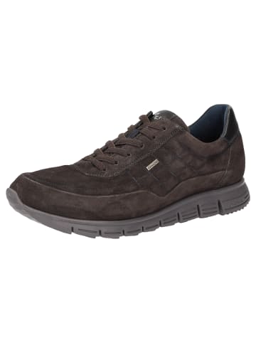 Sioux Sneaker Mokrunner-H-016-TEX in grau
