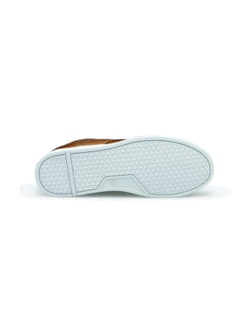 LLOYD Sneaker High in Braun
