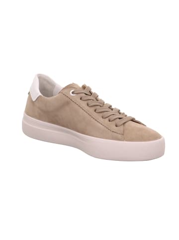 Legero Sneakers Low MONDO in Giotto