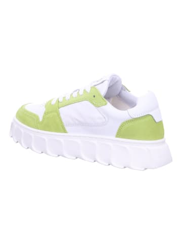 Apple of Eden Sneaker Low in weiß