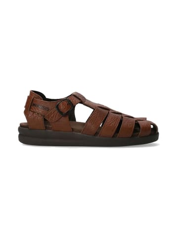Mephisto SHOES "Sam" in desert
