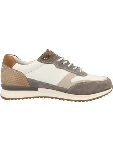 Australian Footwear Sneaker low Filmon XT in hellgrau