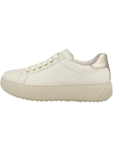 ara Sneaker low Monaco in weiss