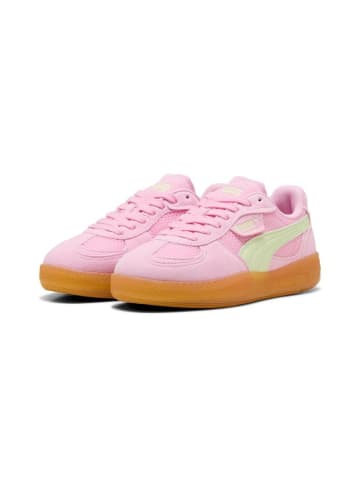 Puma Sneaker "Palermo Moda Vintage Wns" in Pink
