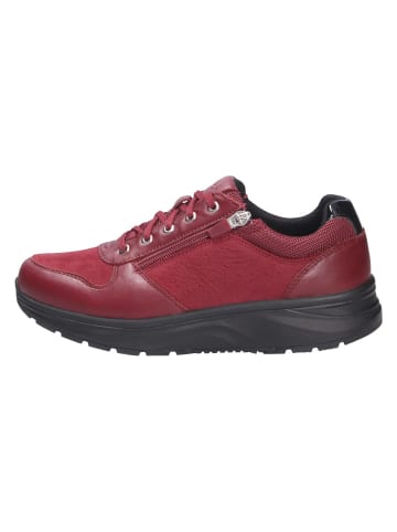 Joya SchnĆ¼rschuh DYNAMO ZIP W DARK RED II in rot