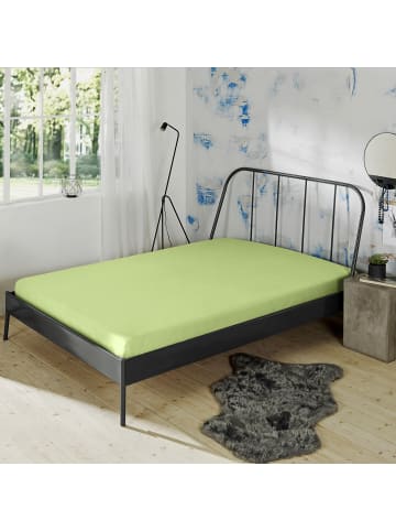 Erwin Müller Mako-Interlock-Jersey Bio Spannbettlaken München in lindgrün