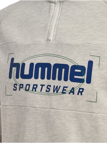 Hummel Hummel Reißverschluss Sweatshirt Raglanärmel Hmllgc Ron Herren in TOFU MELANGE