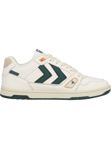 Hummel Klassische- & Business Schuhe in MARSHMALLOW/RAIN FOREST