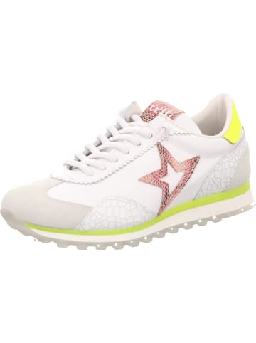 Cetti Schnürschuh in weiß