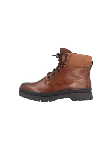 Fretz Men Boots in Braun