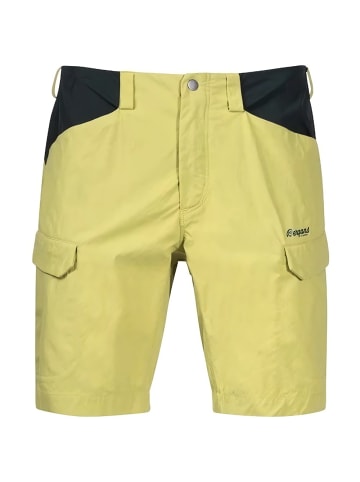Bergans Short in Beige