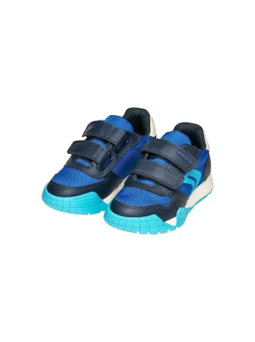 Geox Niedrige Ledersneaker für Kinder J Ran E Blau