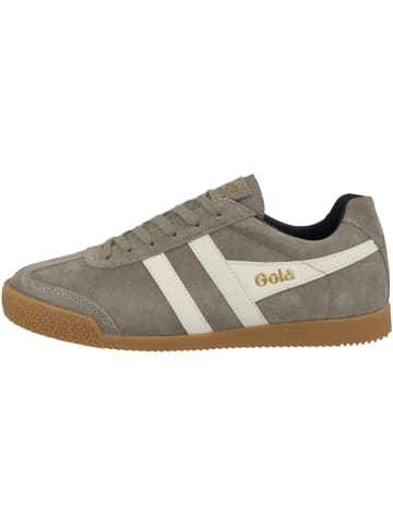 Gola Sneaker low Harrier Suede in grau