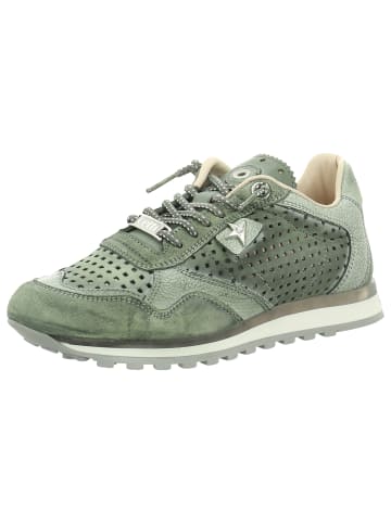 Cetti Sneaker Low in grün