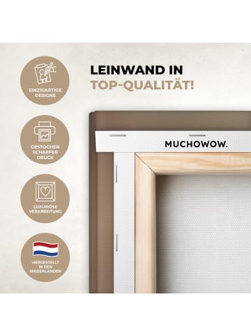 MuchoWow Leinwand bilder Nahaufnahme Flaum (BxH)