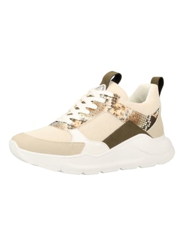 Bullboxer Sneaker in Beige